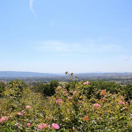 Amazing Villa Assisi